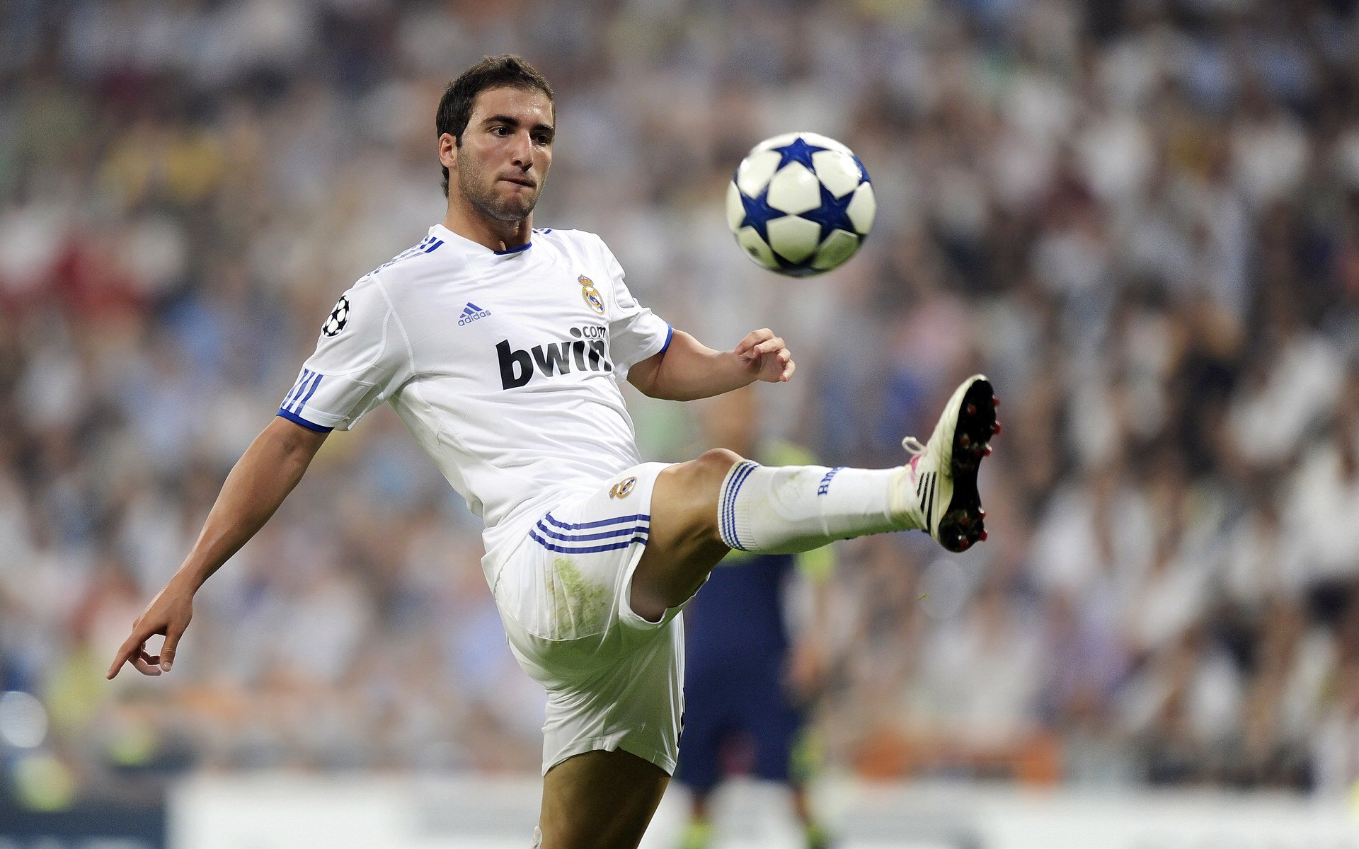 _绿军队员拼尽全力，险胜对手_，绿军的阵容